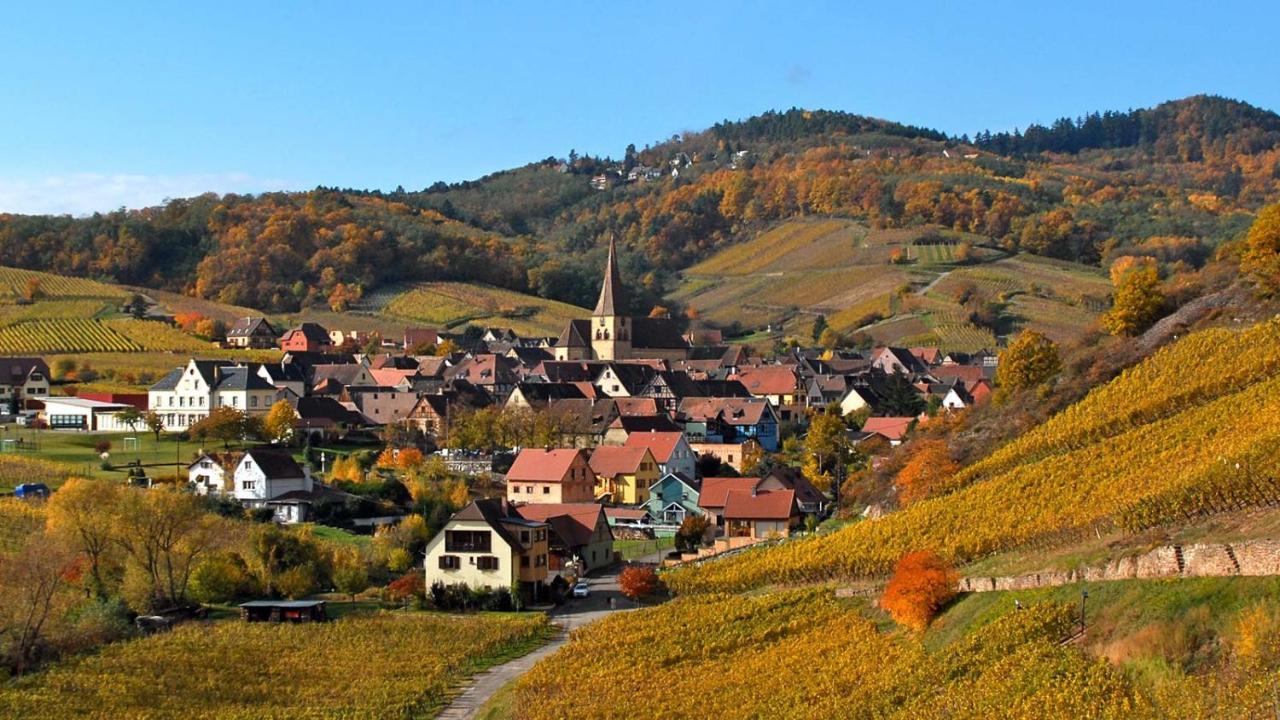 Hotel De L'Ange Niedermorschwihr Exteriör bild